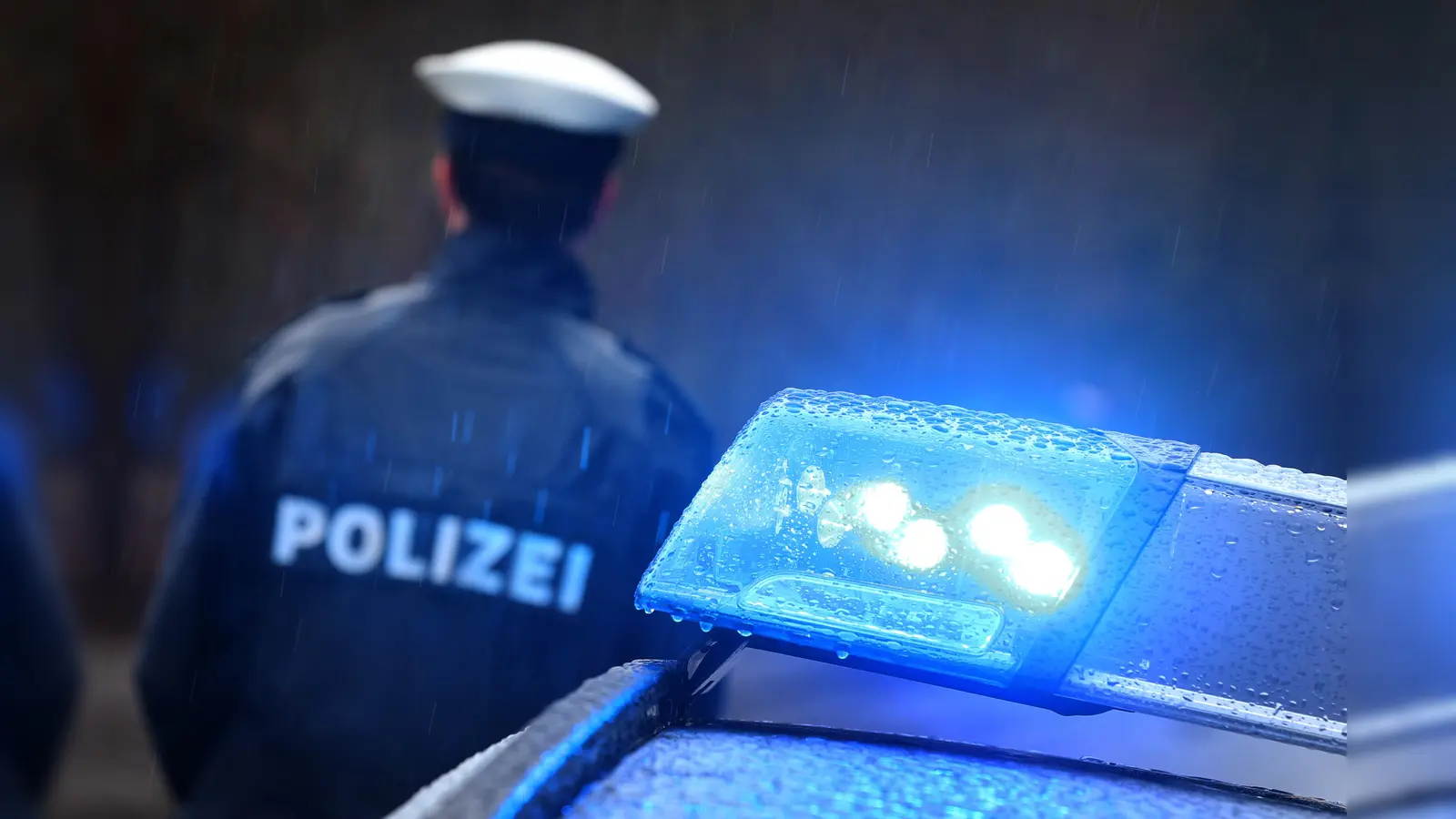 Nach einem Wildunfall bei Vohenstrauß geht die Polizei von Wilderei aus (Bild: Karl-Josef Hildenbrand)