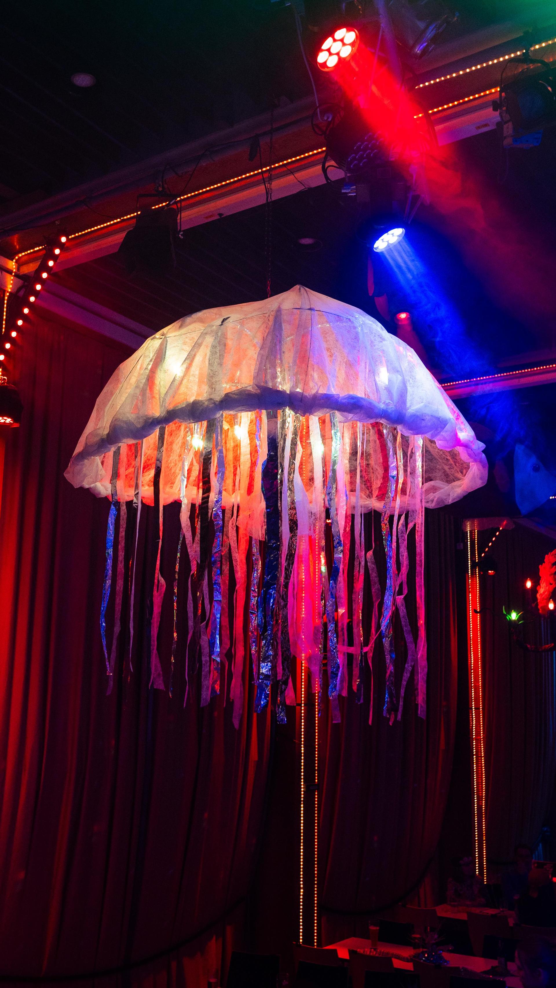 Der Rosenmontagsball in Vohenstrauß war ein Besuchermagnet. (Bild: Hannes Stock)