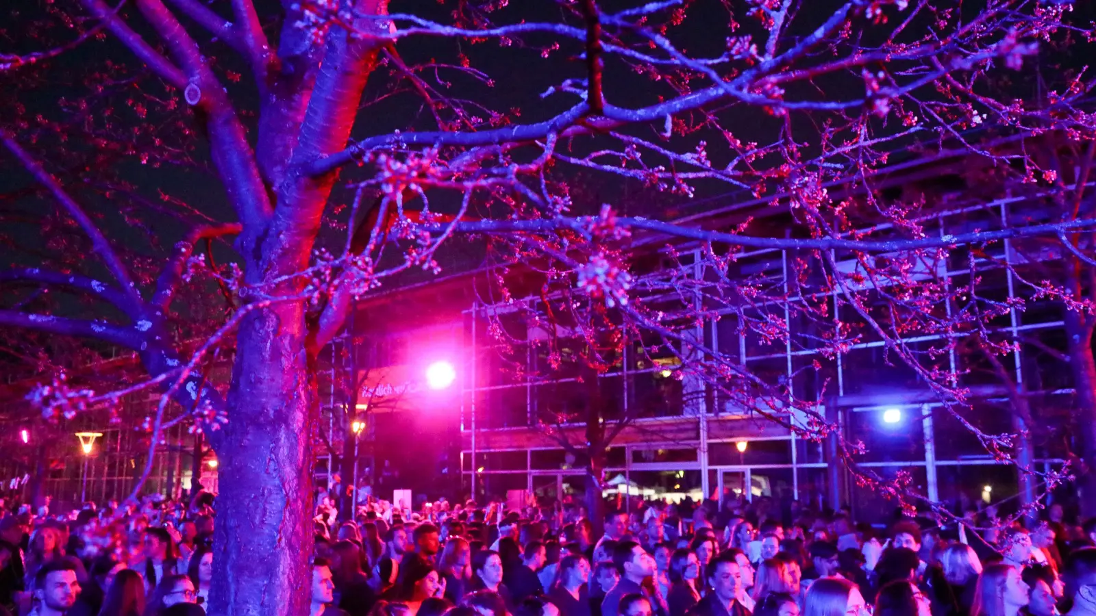 So war das Kirschblütenfestival auf dem OTH-Campus in Amberg 2025. Jetzt kommt die Festivalreihe nach Weiden. (Archivbild: Wolfgang Steinbacher)