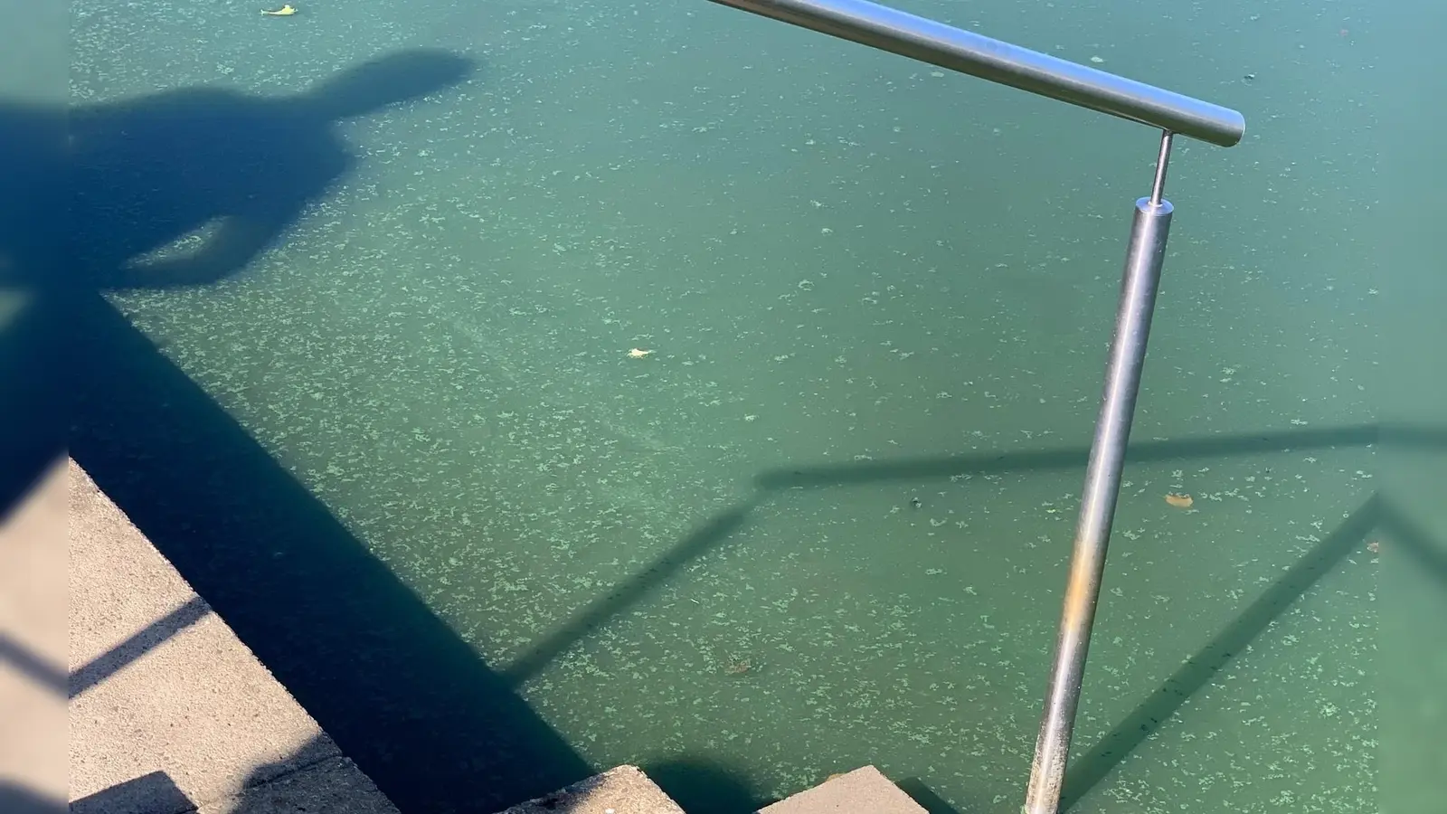Blaualgen im Rußweiher in Eschenbach führen zu einem Badeverbot. (Symbolbild: Landkreis Neustadt a.d.Waldnaab)
