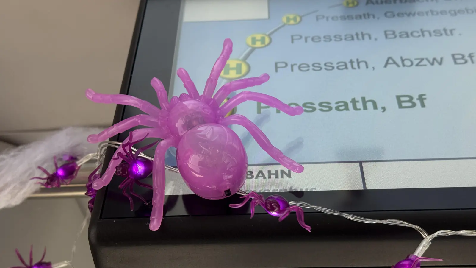 Pinke Spinnen hängen an der Anzeige im Bus. (Bild: Gabi Schönberger)