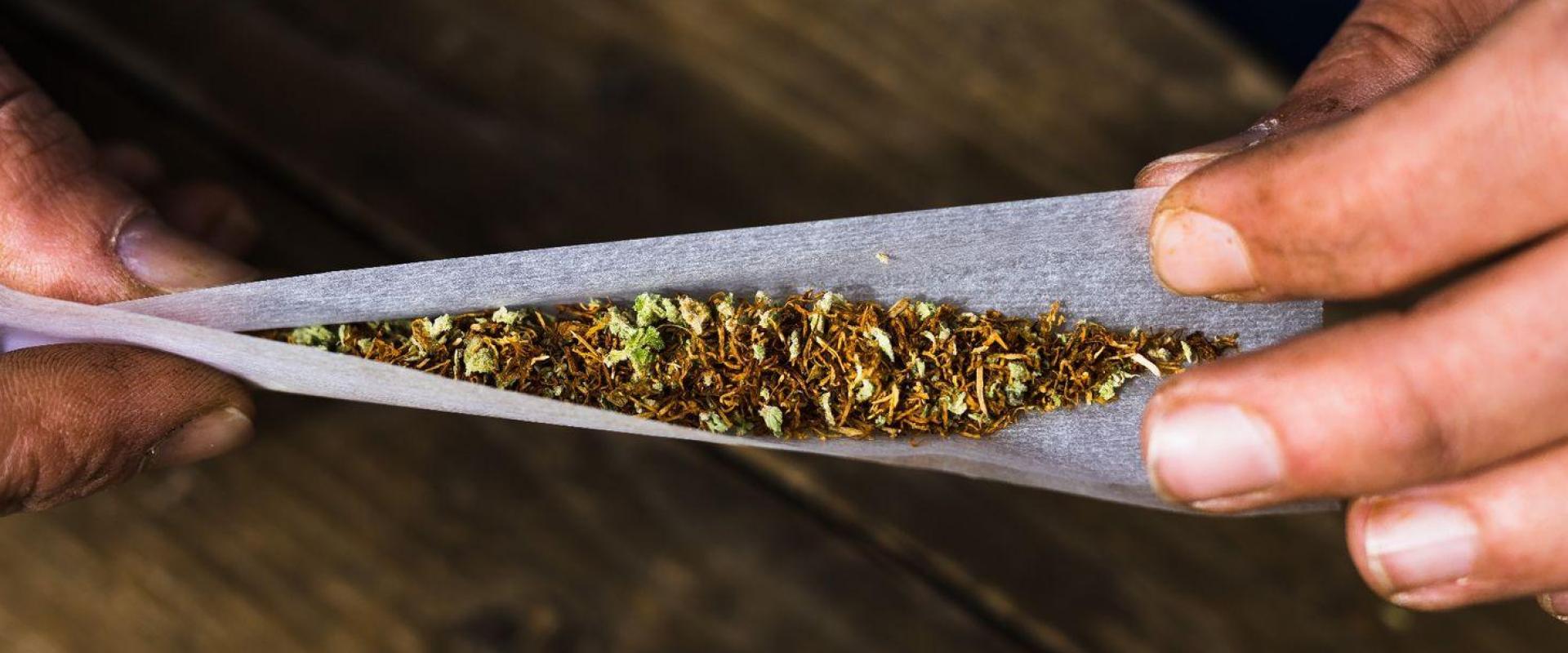 Ein 14-Jähriger wird in Schwandorf mit Marihuana erwischt. Die Polizei übergibt ihn an einen Erziehungsbeauftragten. (Symbolbild: Philipp von Ditfurth/dpa)