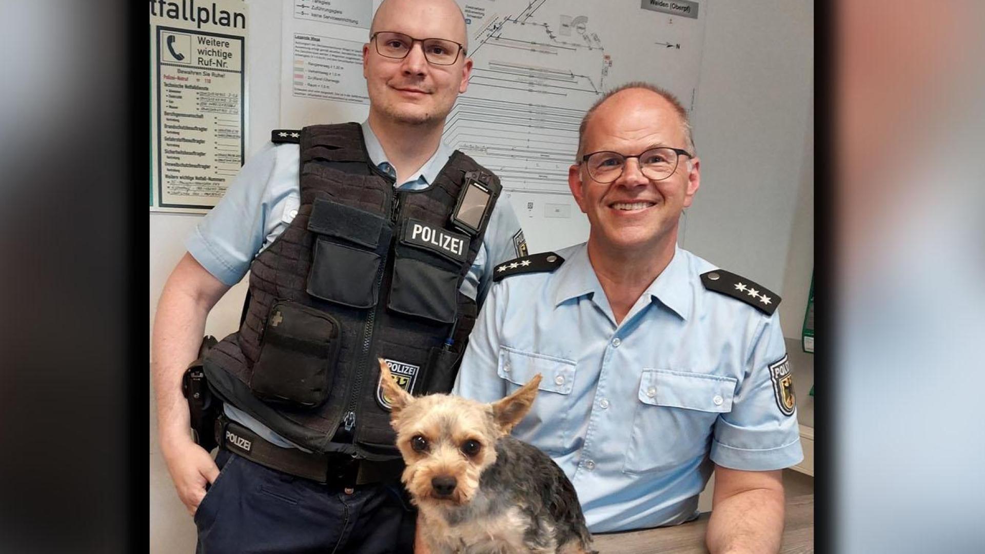 Polizisten der Bundespolizei kümmern sich um Yorkshire Terrier Rocky, als der von seinem Halter ausgebüchst ist.  (Bild: Foto Bundespolizei)