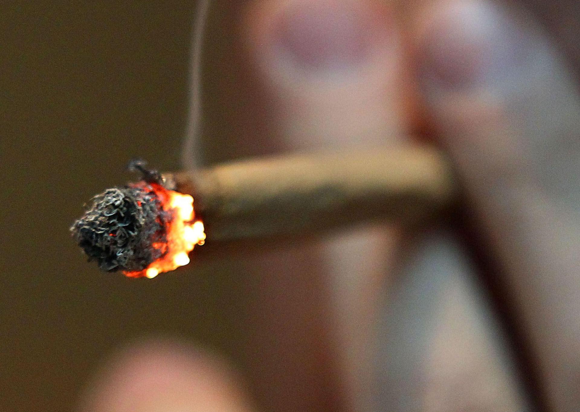 Ein Fahrgast eines Reisebusses muss sich wegen der Einfuhr von Marihuana strafrechtlich verantworten. (Symbolbild: Oliver Berg/dpa)