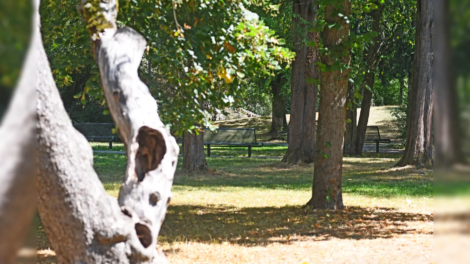Ein 42-jähriger Mann ist im Max-Reger-Park in Weiden offenbar im Schlaf bestohlen worden. (Symbolbild: Gabi Schönberger)