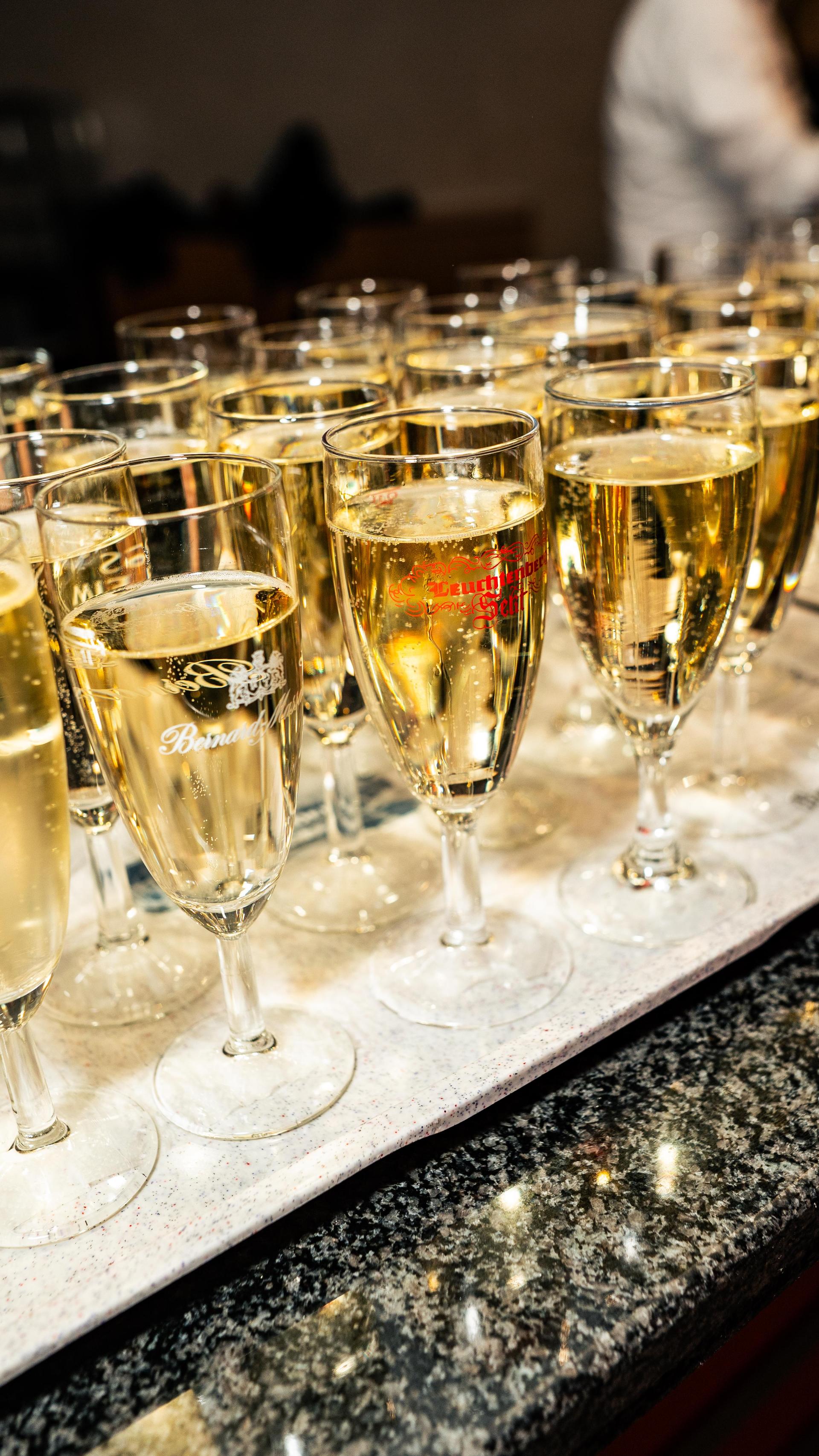 Am Samstag wurde es in der Weidener Max-Reger-Halle außergewöhnlich festlich. (Bild: Hannes Stock)