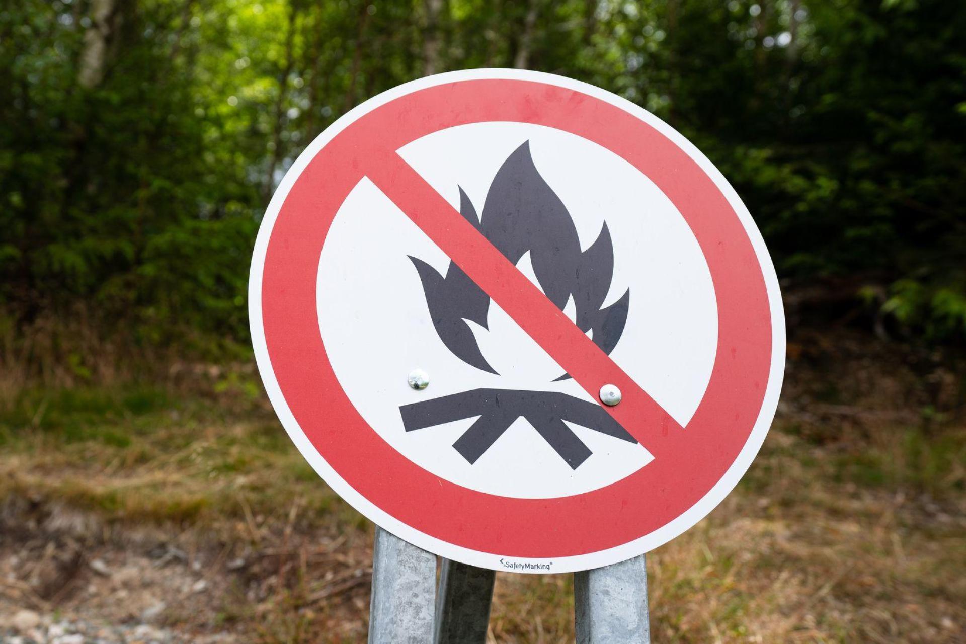 Am Wochenende könnte die Waldbrandgefahr in Bayern teilweise auf die höchste der fünf Warnstufen steigen. (Archivbild) (Bild: Nicolas Armer/dpa)