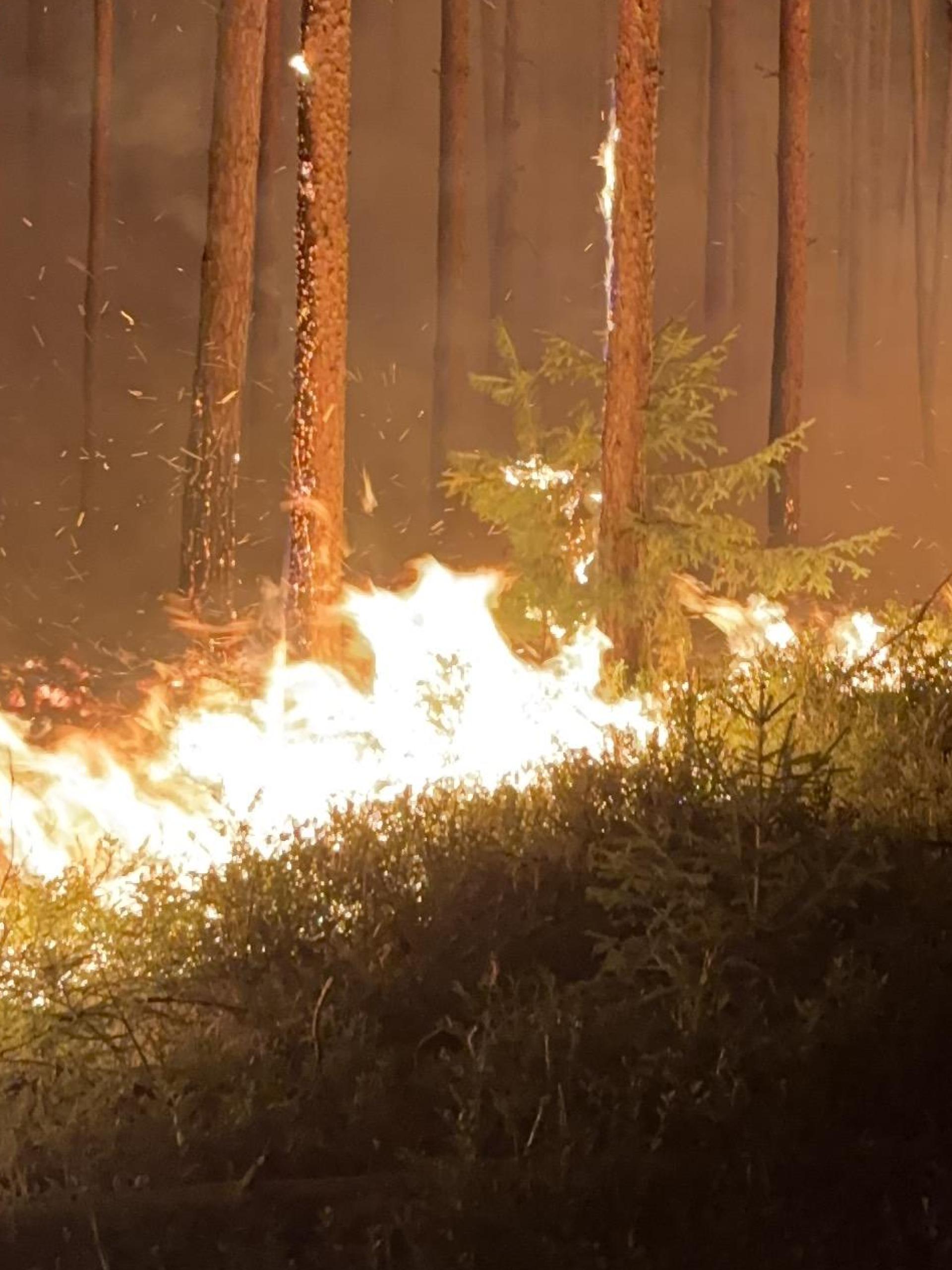 Zwei Waldbrände haben im Manteler Forst einen Großeinsatz ausgelöst. (Bild: PI Neustadt a.d.Waldnaab, POM`in Bäumler)
