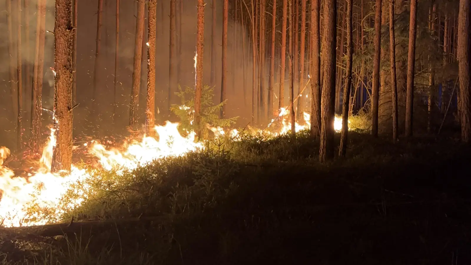 Zwei Waldbrände haben im Manteler Forst einen Großeinsatz ausgelöst. (Bild: PI Neustadt a.d.Waldnaab, POM`in Bäumler)