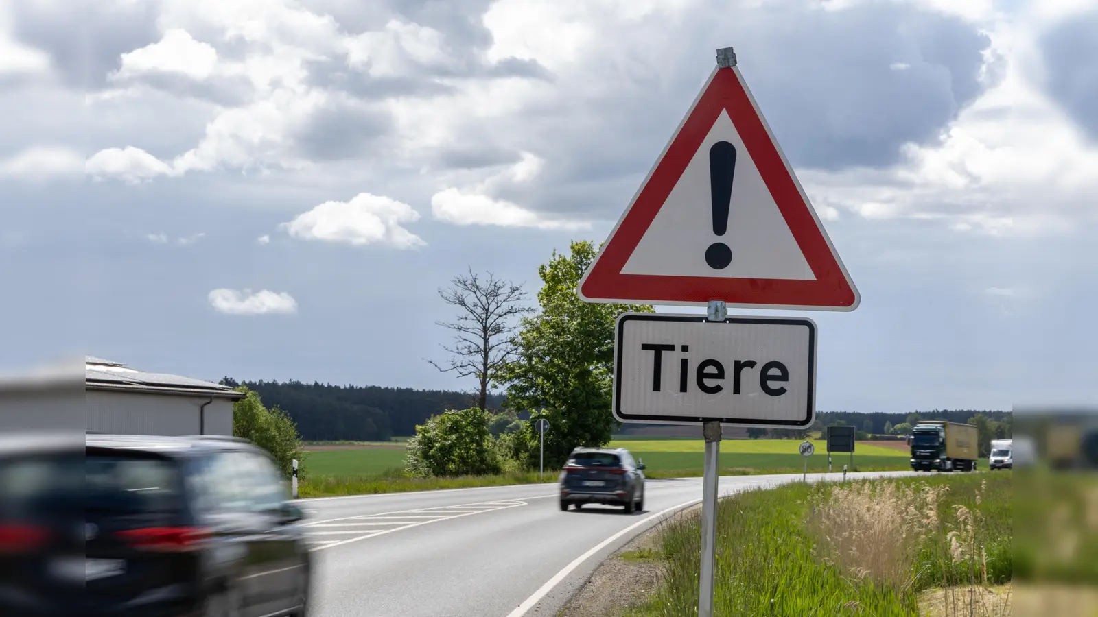 Am Ortsausgang von Kastl bei Kemnath macht dieses Warnschild „Tiere” die Verkehrsteilnehmer auf die ausgebüxten Rinder aufmerksam. (Bild: Roland Wellenhoefer)