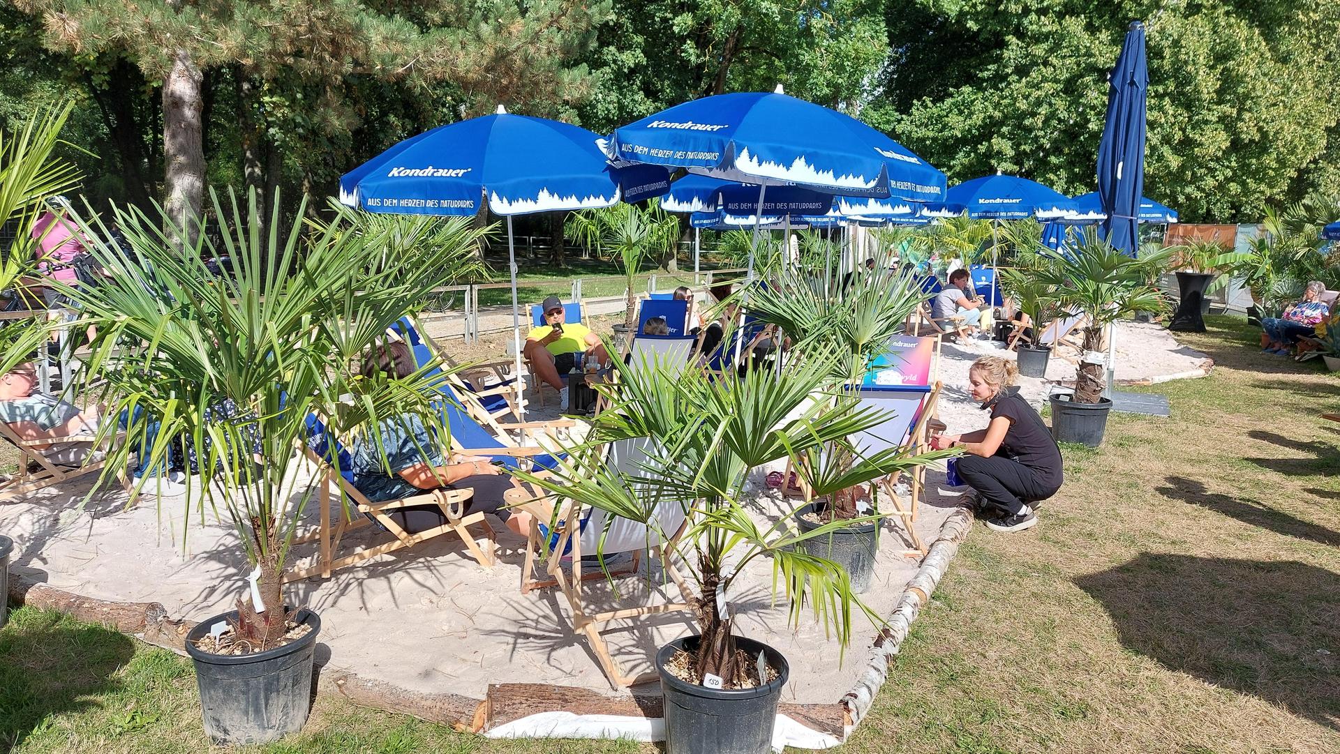In Weiden herrscht Sommerfeeling: Liegestühle, Palmen und Sand verwandeln einen Teil des Realschulsportplatzes in eine kleine Urlaubsecke. (Bild: Helmut Kunz)