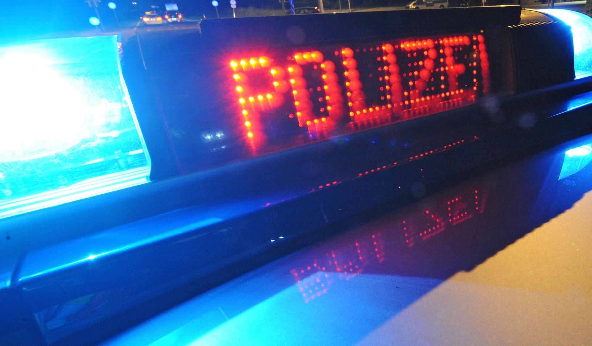 Die Autobahnpolizeistation Schwandorf entdeckte bei einer Fahrzeugkontrolle auf der A 93 bei Schwarzenfeld elf Hundewelpen in einem Kofferraum. (Symbolbild: Patrick Seeger/dpa)