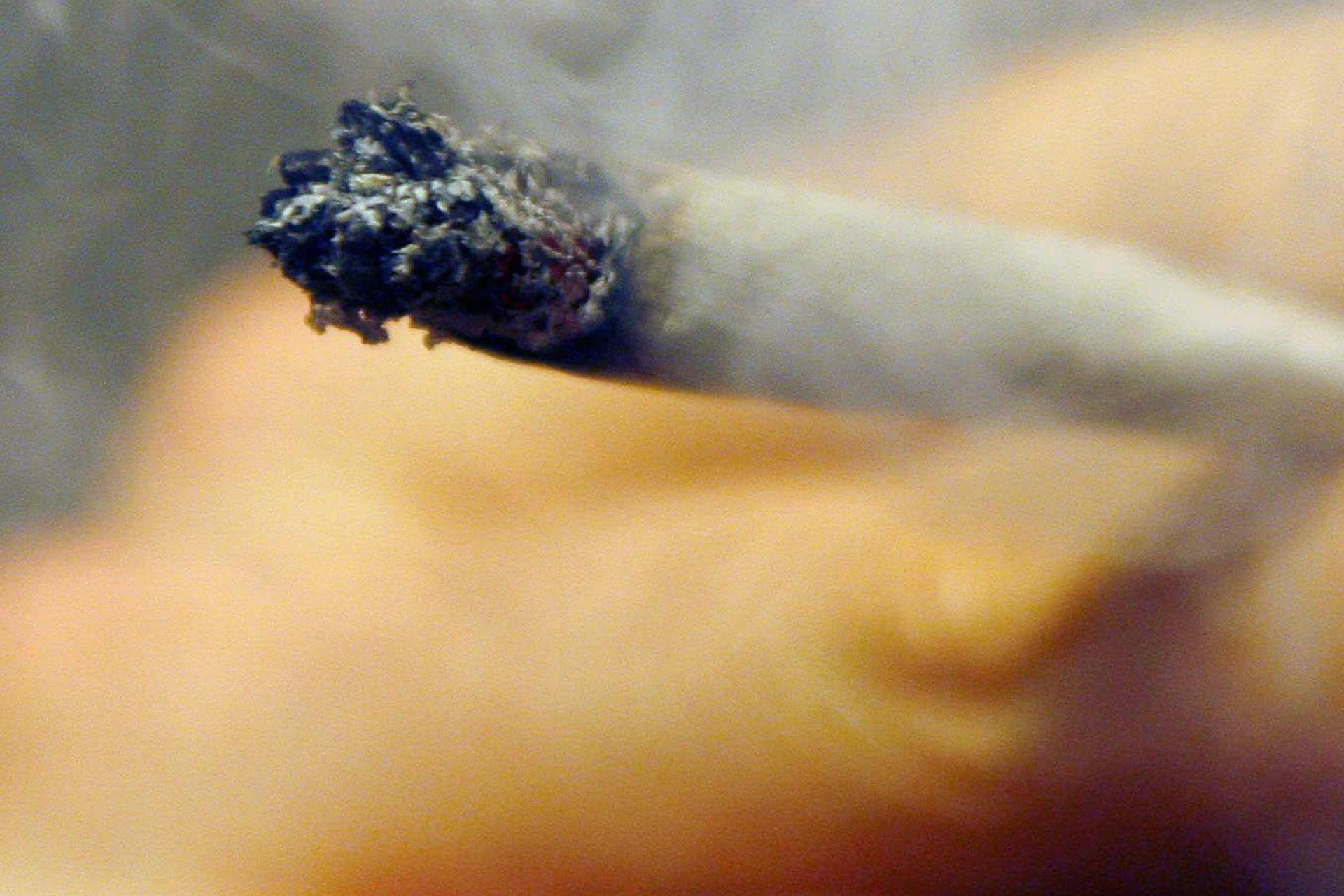 Die Polizei erwischte bei einer Kontrolle vier Heranwachsende mit Marihuana und Waffen aus Tschechien.  (Symbolbild: Daniel Karmann/dpa)