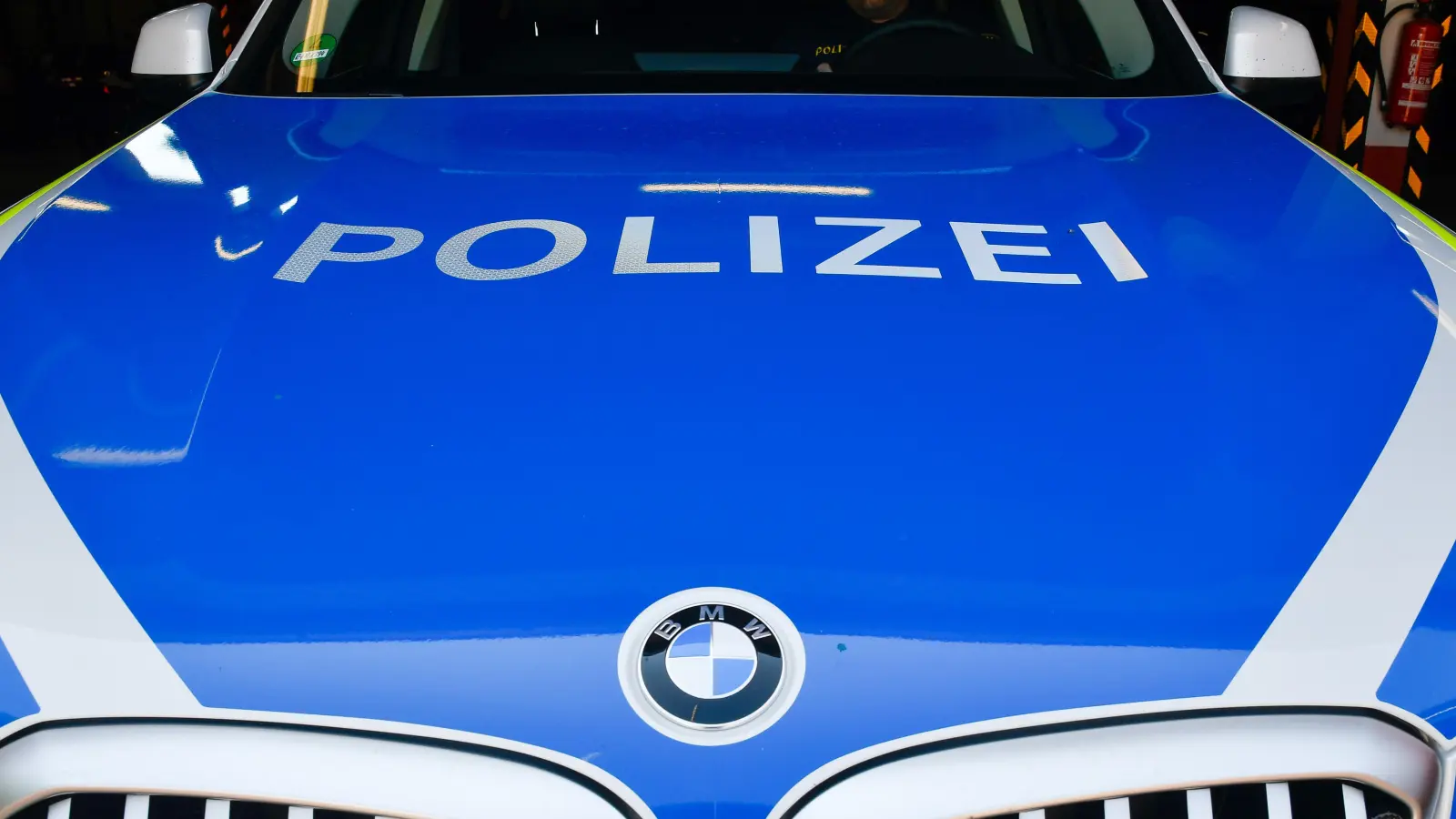 Die Polizei Weiden erhofft sich Hinweise auf Unbekannte, die eine Garagenwand mit Farbe beschmiert haben.  (Bild: Petra Hartl)