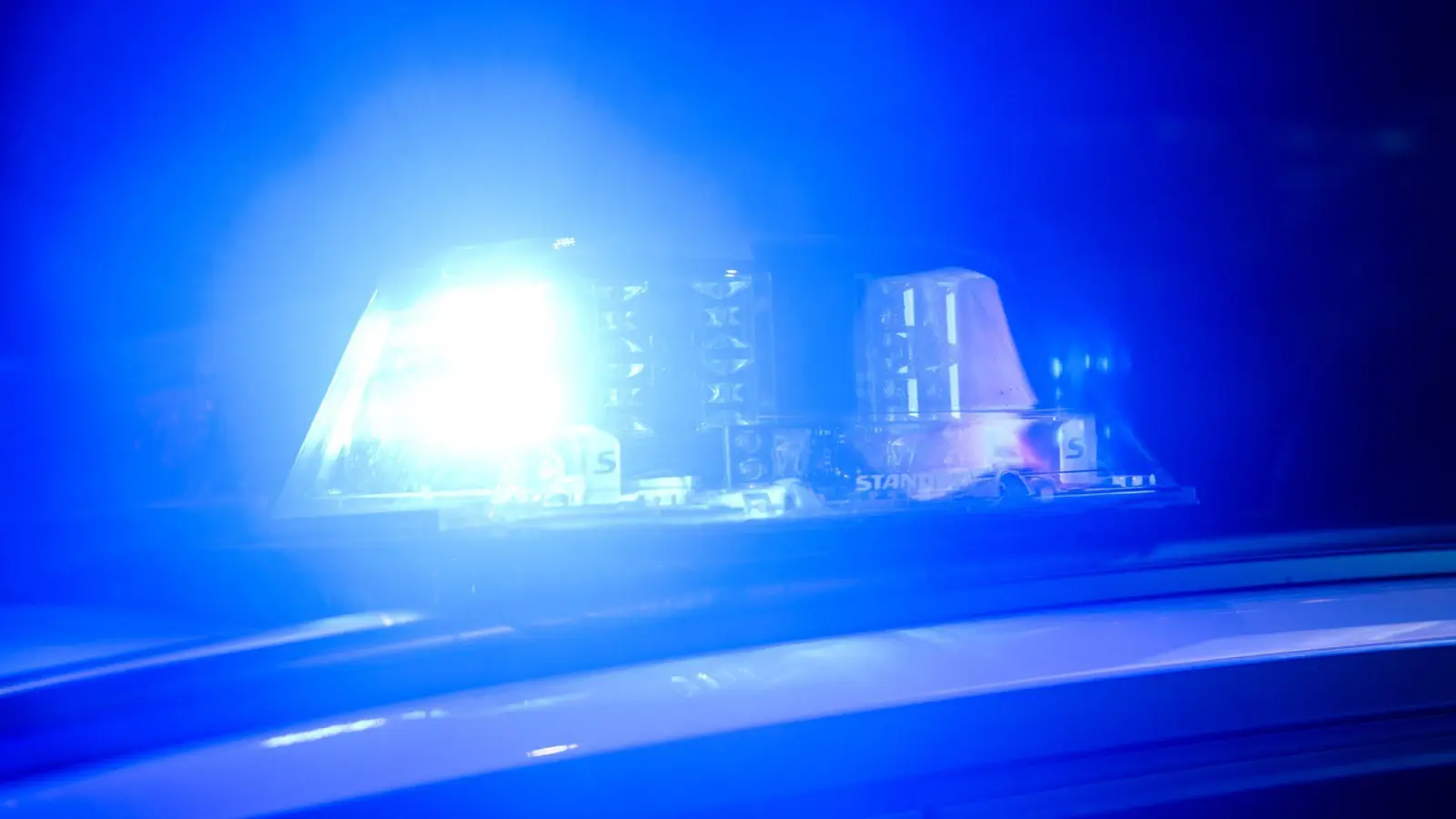 In Flossenbürg wurde ein Bogenschützenziel in Form einer Eule gestohlen. Die Polizei sucht nach Hinweisen. (Symbolbild: Silas Stein/dpa)