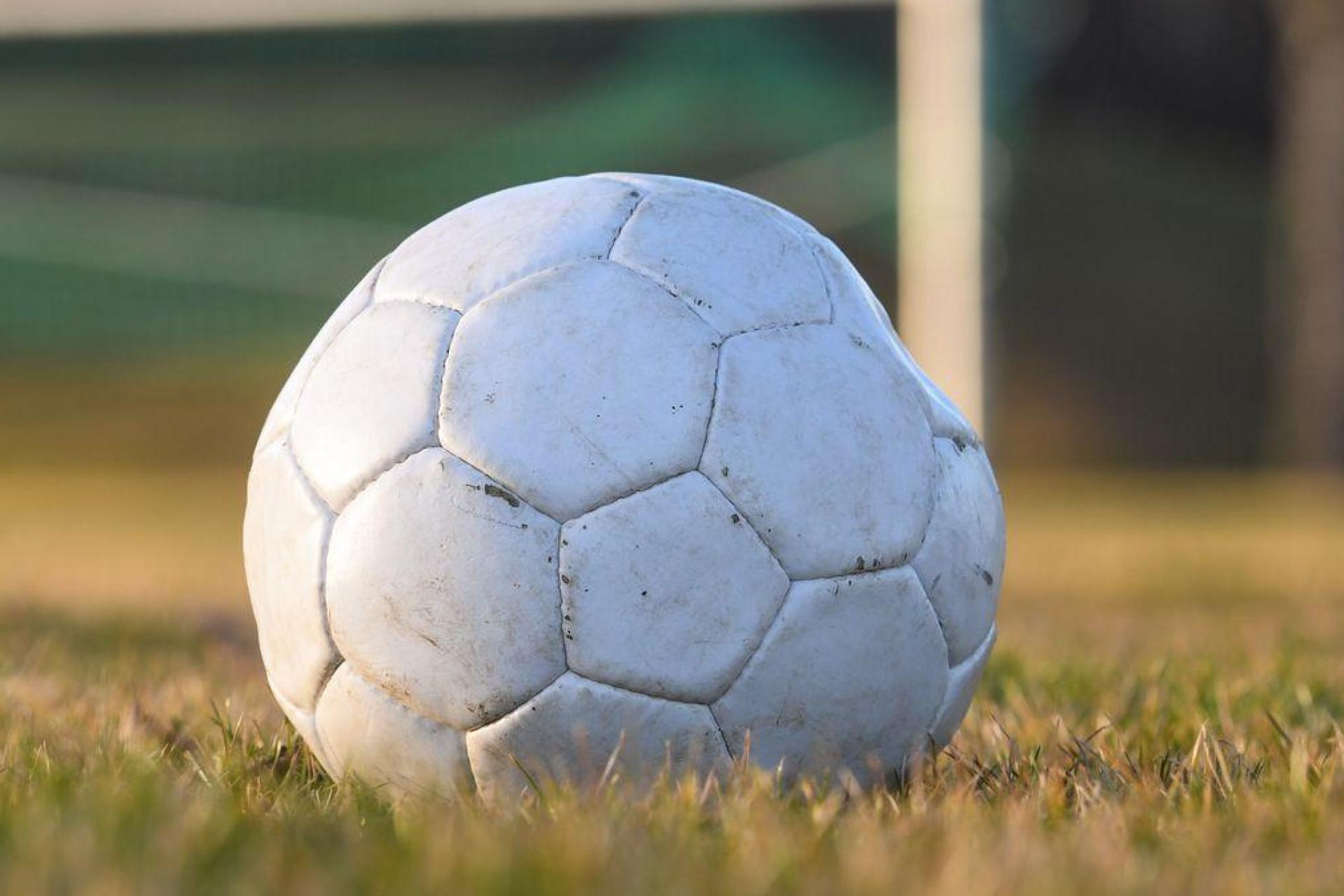 Mit einem Regenschirm und einer Trainingsstange gingn ein Vater und sein Sohn in Regensburg auf Spieler und Trainer los. (Symbolbild: Tobias Hase/dpa)