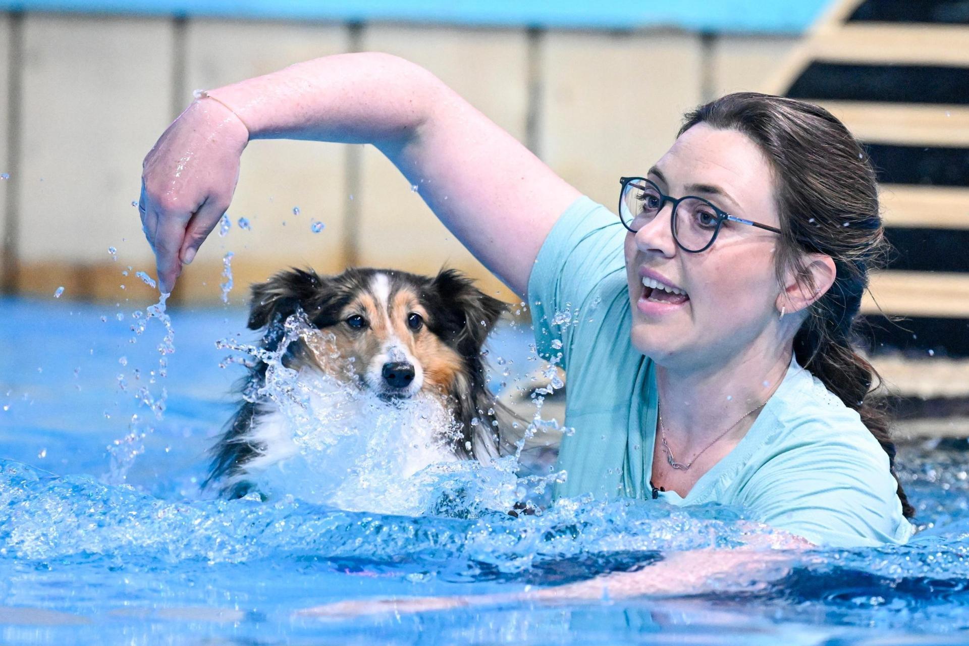 Ramona Stallbaum aus Krummennaab war mit ihrer Sheltie-Hündin „Nala” am Freitagabend in der RTL-Show „Top Dog Germany – Der beste Hund Deutschlands” zu sehen. Bei der letzten Aufgabe zögerte „Nala” zu lange mit dem Sprung ins Wasser, dabei ging wertvolle Zeit verloren. Am Ende reichte es nicht fürs Weiterkommen. (Bild: RTL/Markus Hertrich)
