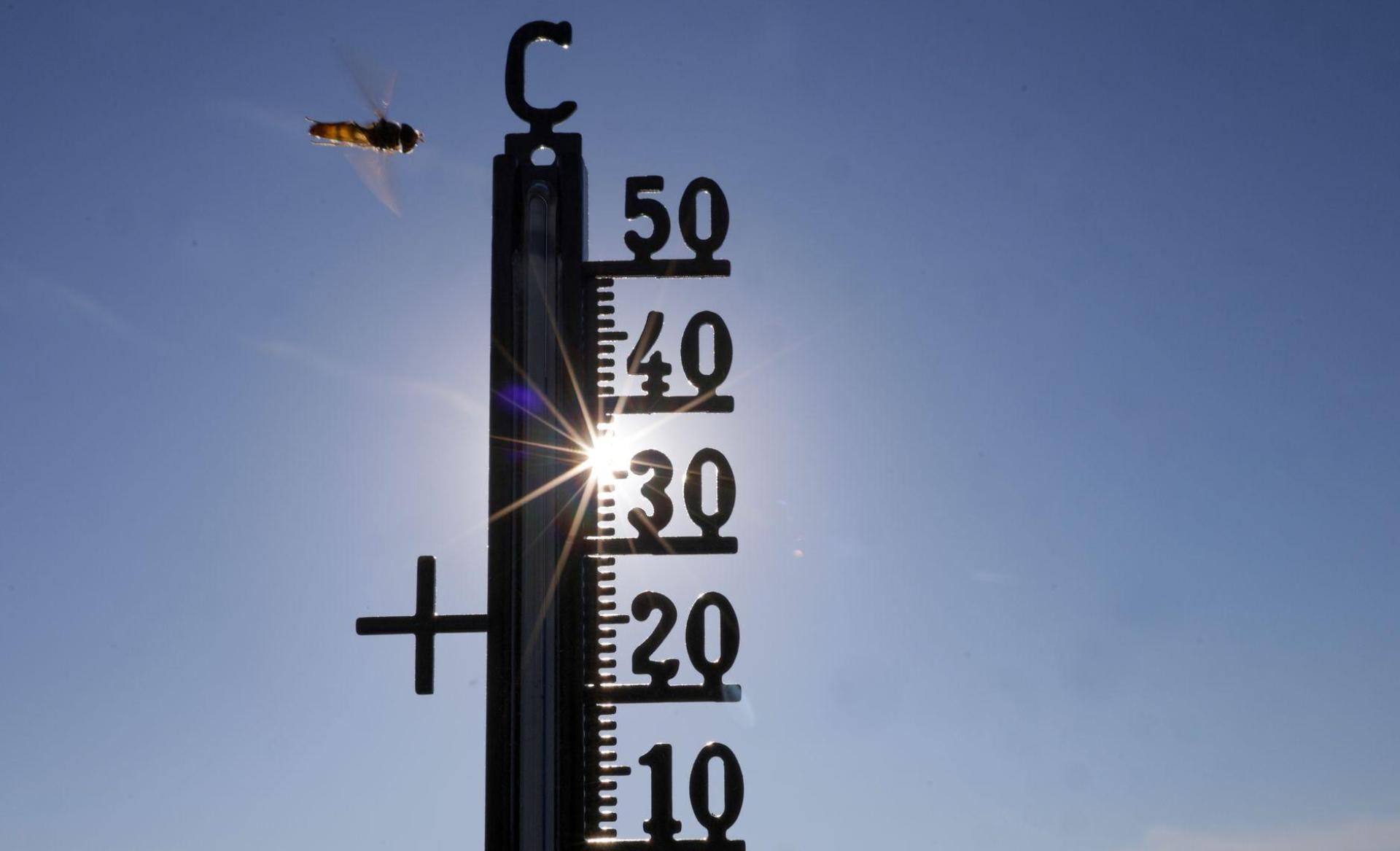 Hat die Hitze mit dem Klimawandel zu tun? Die meisten Menschen in Deutschland gehen davon aus.  (Symbolbild: Thomas Warnack/dpa)