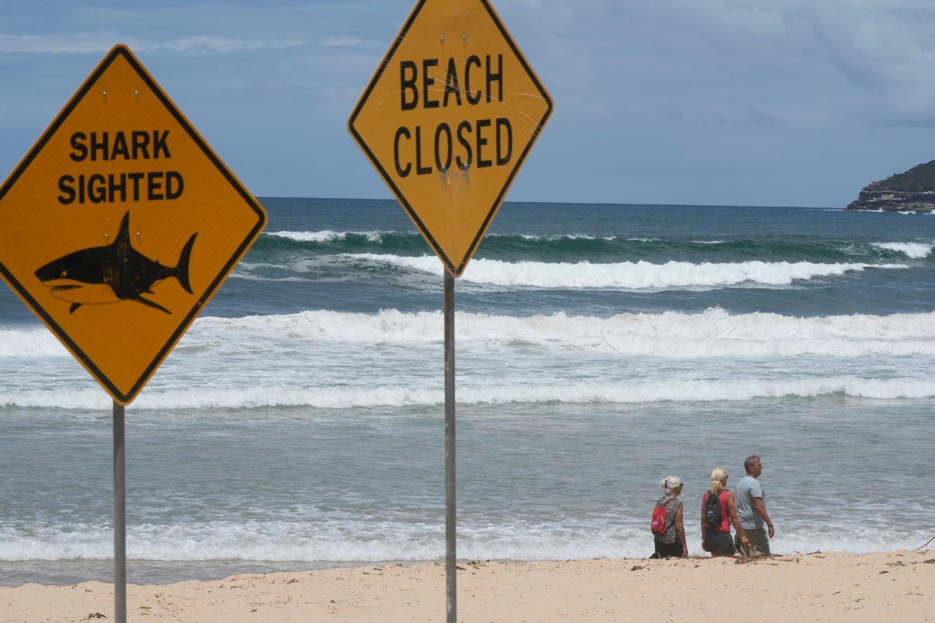Innerhalb von nur wenigen Tagen wurden aus dem australischen Bundesstaat New South Wales vier Haiangriffe gemeldet. (Symbolbild: Rick Rycroft/AP/dpa)
