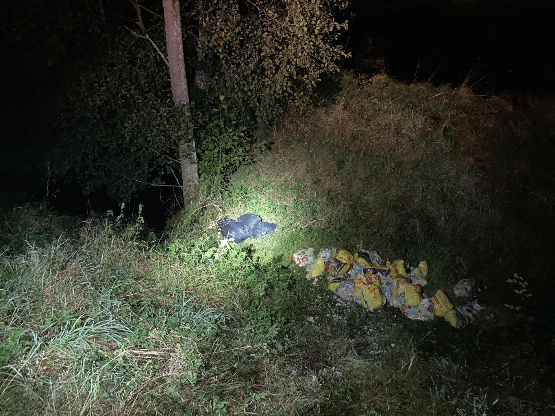 Da staunten die Polizeibeamten nicht schlecht, als sie am Sonntagabend 20 „Netto“-Plastiktüten an Katzenstreu an einem Weiher fanden.  (Bild: PI Neustadt/WN)