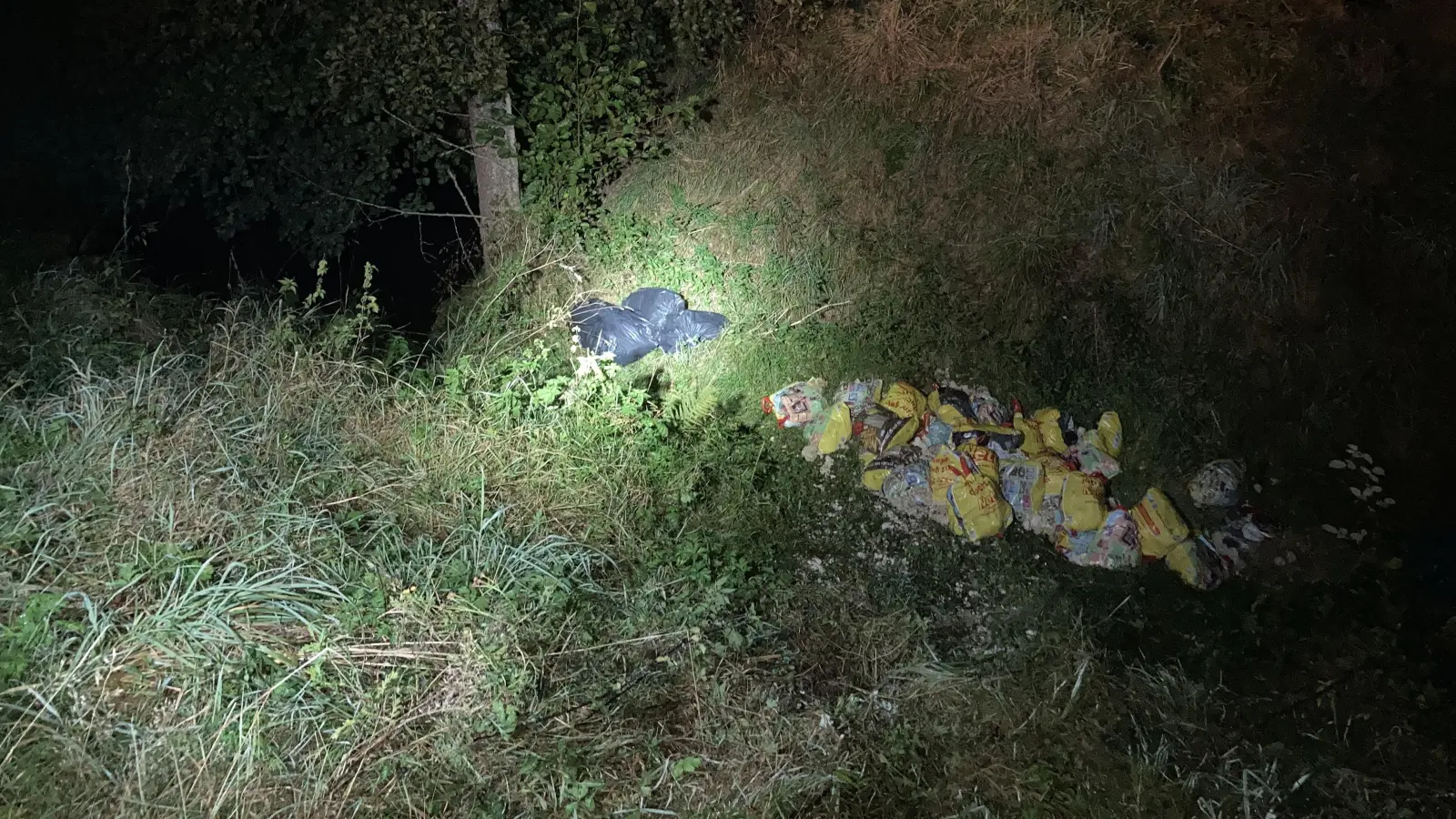 Da staunten die Polizeibeamten nicht schlecht, als sie am Sonntagabend 20 „Netto“-Plastiktüten an Katzenstreu an einem Weiher fanden.  (Bild: PI Neustadt/WN)