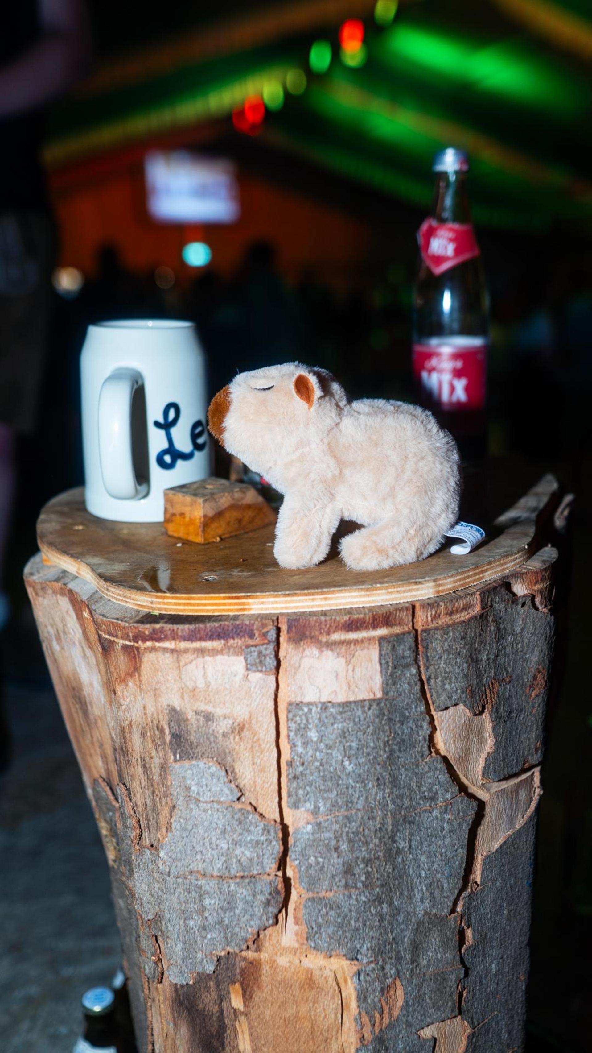 Die Quertreiber rocken am Samstagabend das Festzelt bei der Kirwa in Wernberg.  (Bild: Hannes Stock)