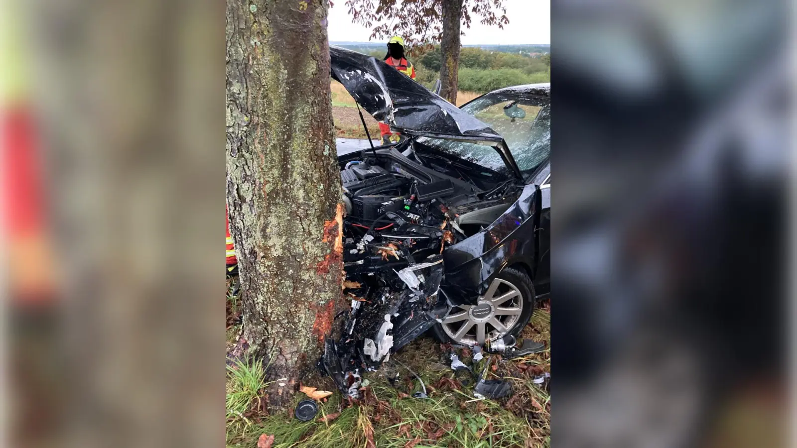 Am Montagmorgen kam eine 19-jährige Audi-Fahrerin in der Felixallee von der Fahrbahn ab und prallte gegen einen Baum. (Bild: PI Neustadt Waldnaab)