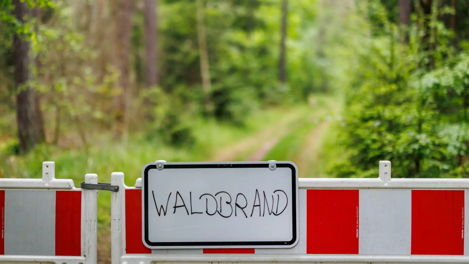 Die Waldbrandgefahr in Bayern steigt. (Archivbild) (Bild: Daniel Karmann/dpa)