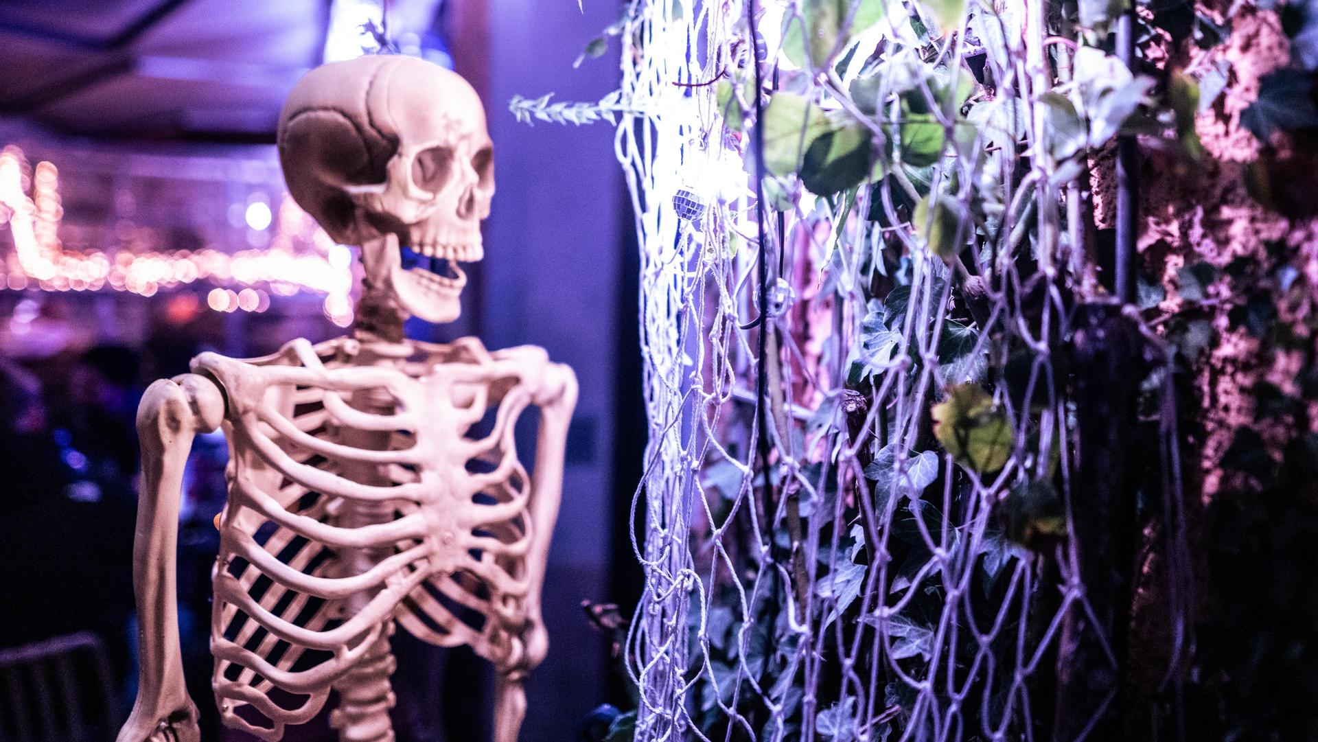 Exklusive Einblicke in die Halloween-Party in der Santorino-Bar. (Bild: Hannes Stock)