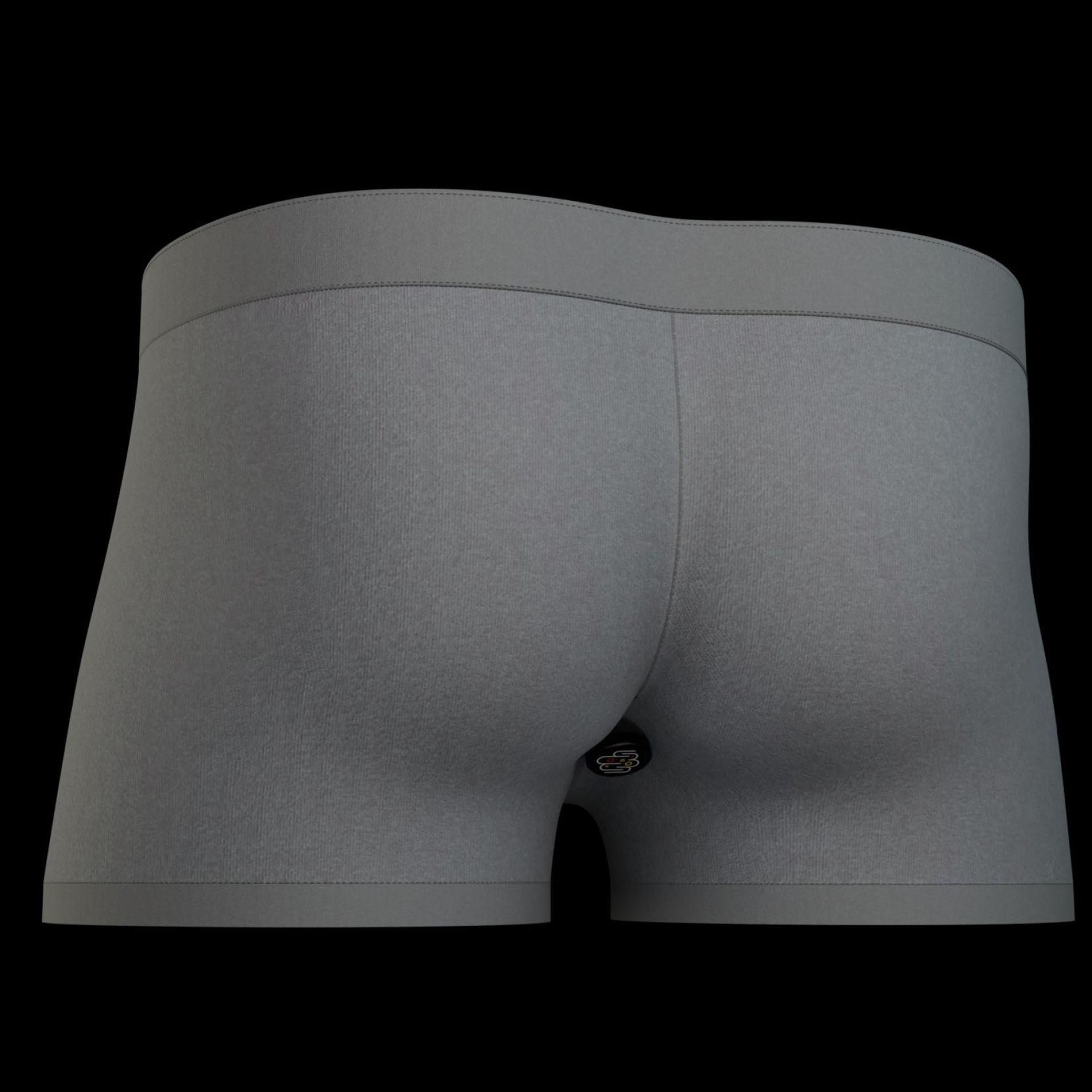 Modell der smarten Unterhose (Bild: Brantley Hall/University of Maryland/dpa)